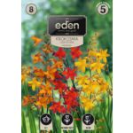 Krokosmia Montbrecja mix 8 sztuk Eden