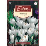 Krokus wiosenny Jeanne d'arc - 10 sztuk Eden