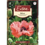 Mak papaver Fornsett Summer 1 sztuka Eden