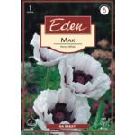 Mak papaver Perry's White 1 sztuka Eden
