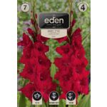 Mieczyk Oskar 7 sztuk Eden