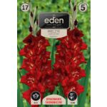 Mieczyk Traderhorn 17 sztuk Eden