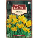 Narcyz botaniczny Tete a tete 7 sztuk Eden