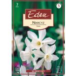 Narcyz botaniczny Thalia 7 sztuk Eden