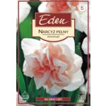 Narcyz Double Delnashaugh 5 sztuk Eden
