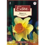 Narcyz Fortissimo 5 sztuk Eden