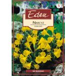 Narcyz Golden Bells 5 sztuk Eden