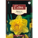 Narcyz pełny Dick Wilden 5 sztuk Eden