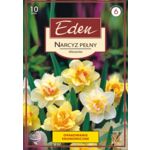 Narcyz pełny mix 10 sztuk Eden
