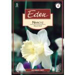 Narcyz trąbkowy Mount Hood 5 sztuk Eden