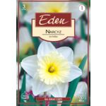 Narcyz wielkoprzykoronkowy Ice Follies 3 sztuki Eden
