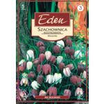 Szachownica Fritillaria Meleagris 5 sztuk Eden