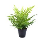 Kwiat sztuczny Paprotka w doniczce 33 cm