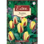 Tulipan Kaufmaniana Gluck 5 sztuk Eden