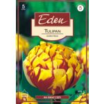 Tulipan pełny Golden Nizza 5 sztuk Eden