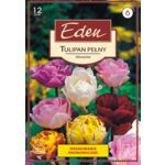 Tulipan pełny mix 12 sztuki Eden
