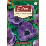 Zawilec pojedynczy Anem. Cor. De Carn Blue - 10 sztuk Eden