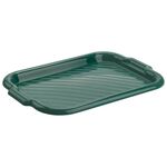 Taca prostokątna MOLLY 40 x 28 cm zielony