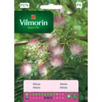 Albicja 5 g Vilmorin Garden