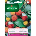 Drzewko truskawkowe 0,1 g Vilmorin Garden