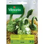 Dynia ozdobna Cobra 6 z Vilmorin Garden