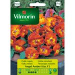 Fiołek rogaty Angel Amber Kiss F1 30 z Vilmorin Garden