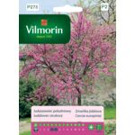 Judaszowiec południowy 1 g Vilmorin Garden