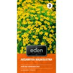 Aksamitka wąskolistna żółta Lulu 0,5 g Eden