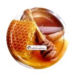 Wieczko Ø82/6z miód 10 szt.