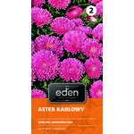 Aster chiński karłowy Holderlin 0,5 g Eden
