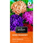 Aster chiński peoniowy mix 1 g Eden
