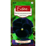 Bratek wielkokwiatowy Black King 0,3 g Eden