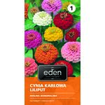 Cynia karłowa mix Liliput 1 g Eden