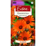 Dimorfoteka Złotokwiat 1 g Eden