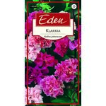 Klarkia Dzierotka 1 g Eden