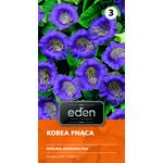 Kobea pnąca 0,5 g Eden