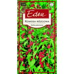 Komosa rózgowa Szpinak truskawkowy 0,4 g Eden