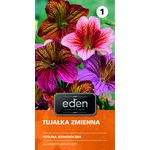 Tujałka zmienna mix 0,5 g Eden