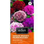 Goździk brodaty pełnokwiatowy 0,5 g Eden