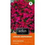 Goździk kropkowany 0,5 g Eden