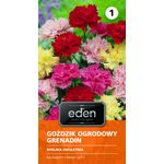 Goździk ogrodowy Grenadin 0,5 g Eden