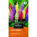 Łubin trwały mix 2 g Eden