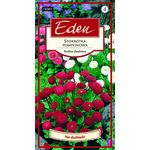 Stokrotka pomponowa mix 0,1 g Eden