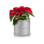 Osłonka walec srebrny 14 cm