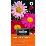 Złocień różowy 0,5 g Eden