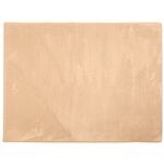 Dywan Polar 80 x 150 cm beż