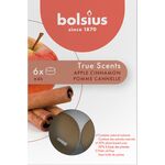 Podgrzewacz zapachowy 4h EE TS jabłko z cynamonem 6 szt.