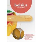 Podgrzewacz zapachowy 4h EE TS mango 6 szt.
