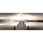 Obraz CANVAS SILVER1 60 x 150 x 2,8 cm EX516 SEPHIA MOLO