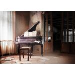 Obraz CANVAS SILVER 85 x 113 cm ST613 PLUM PIA